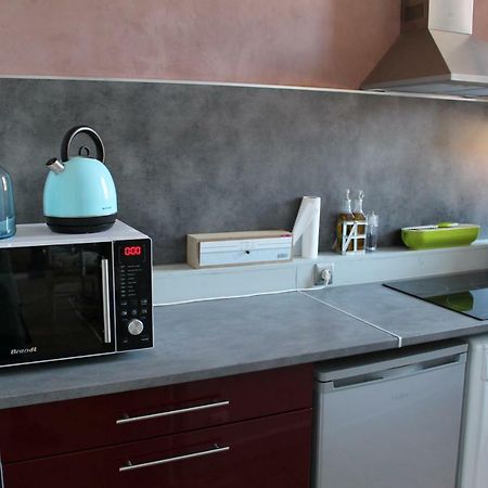 Le Cerf Volant Appartement Albi Buitenkant foto