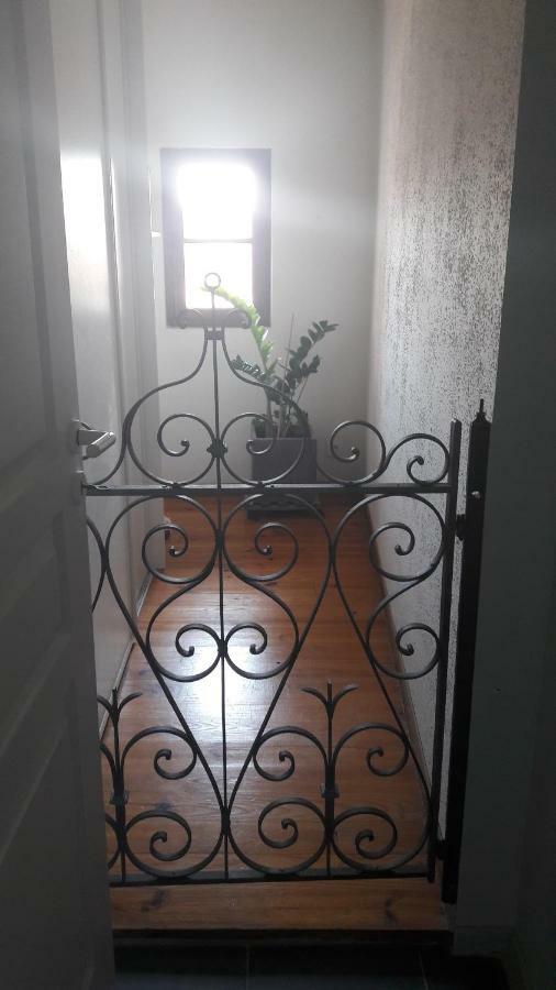 Le Cerf Volant Appartement Albi Buitenkant foto