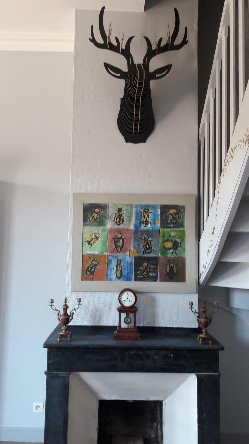 Le Cerf Volant Appartement Albi Buitenkant foto