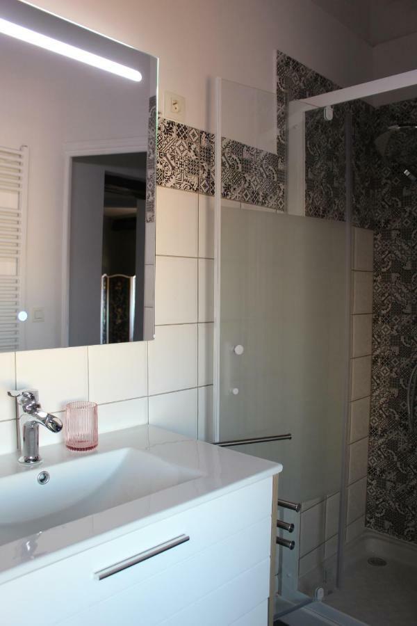 Le Cerf Volant Appartement Albi Buitenkant foto