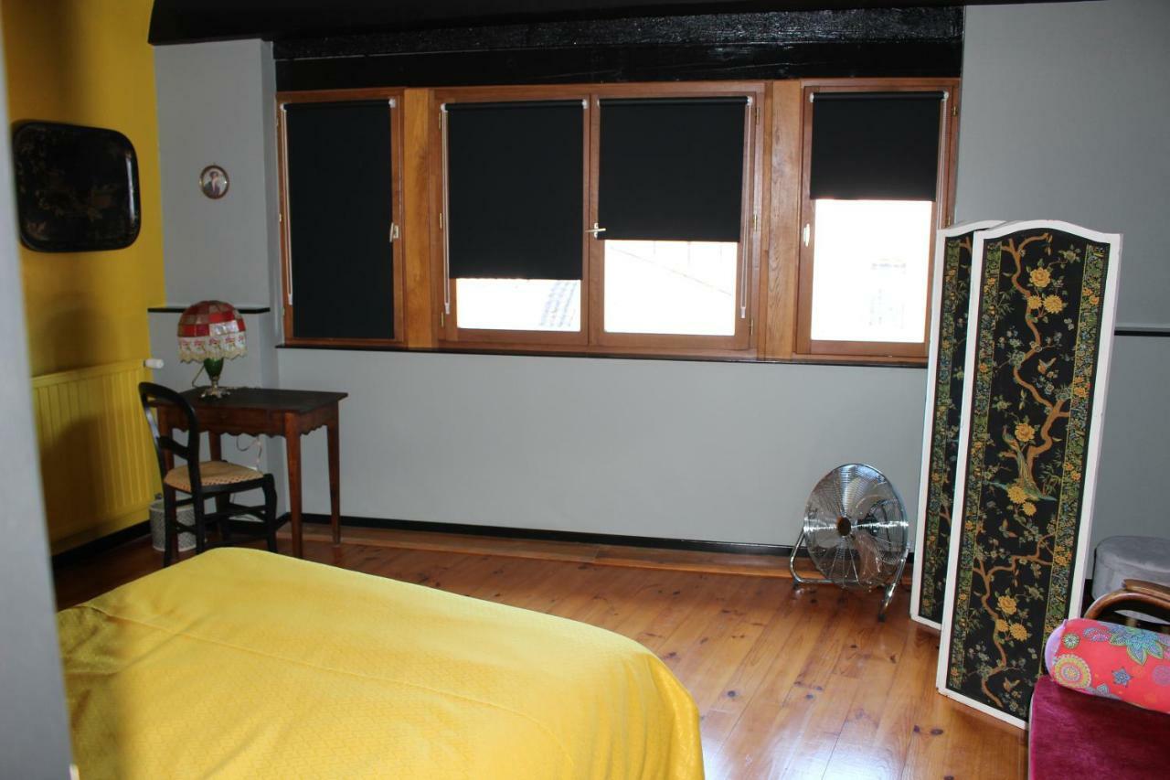Le Cerf Volant Appartement Albi Buitenkant foto